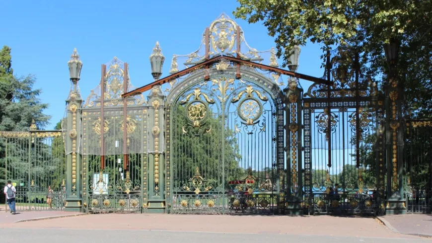 Lyon : retour du chancre coloré au parc de la Tête d’Or, huit platanes vont être abattus