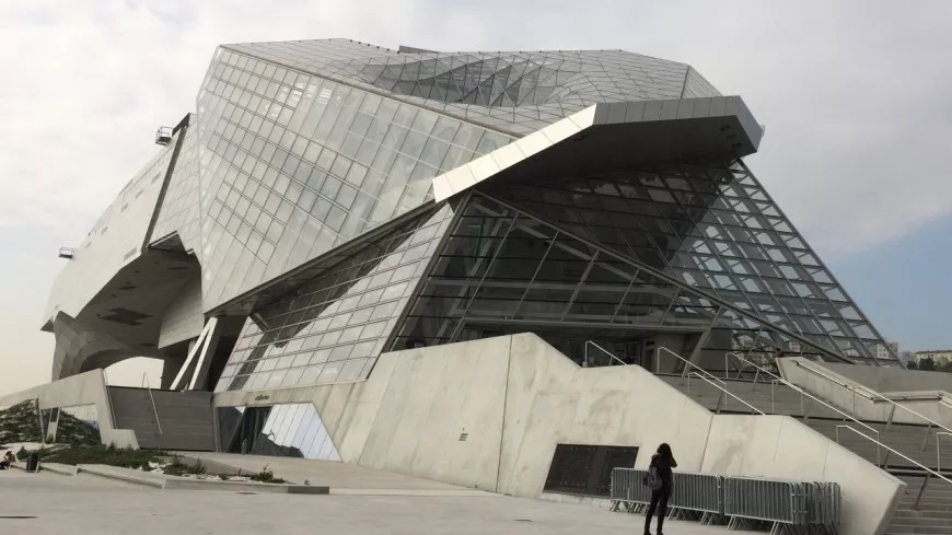 Lyon : le musée des Confluences enrichit sa collection asiatique grâce à une donation