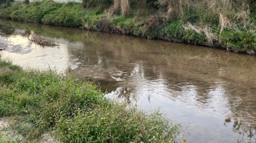 Pollution inquiétante près de Lyon : du fioul déversé dans un cours d’eau à Vaugneray, déjà des dégâts