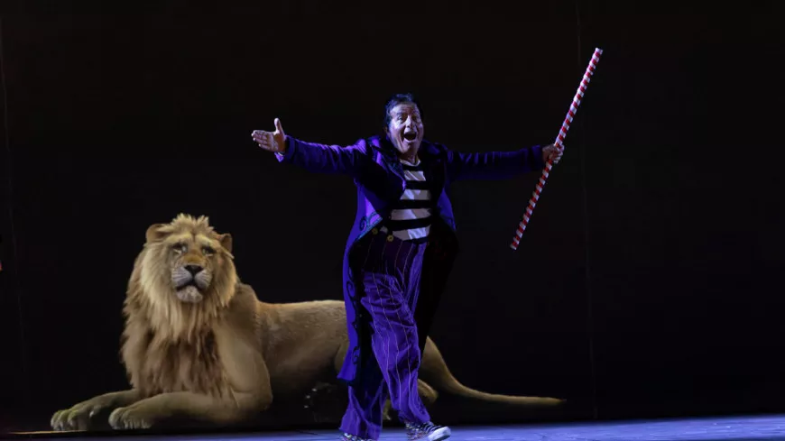 Lyon : avec ses tigres en hologramme, l'éco-cirque des Bouglione veut rester dans la tradition