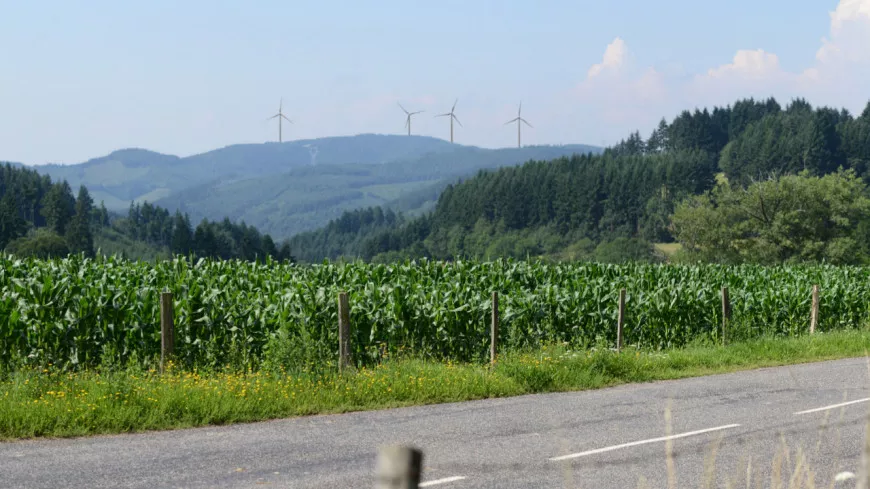 Nouveaux projets d’éoliennes dans le Rhône : un avis défavorable du Département