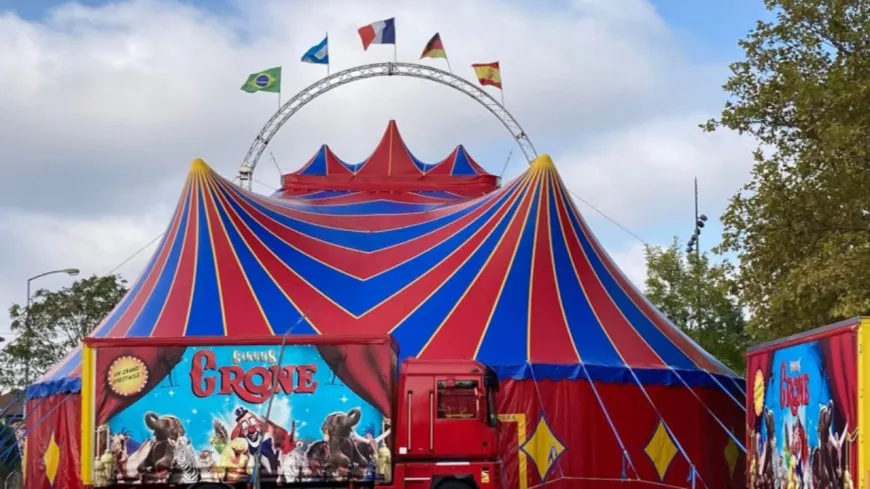 Installation sauvage d'un cirque à Villeurbanne : le maire interdit l'accueil du public