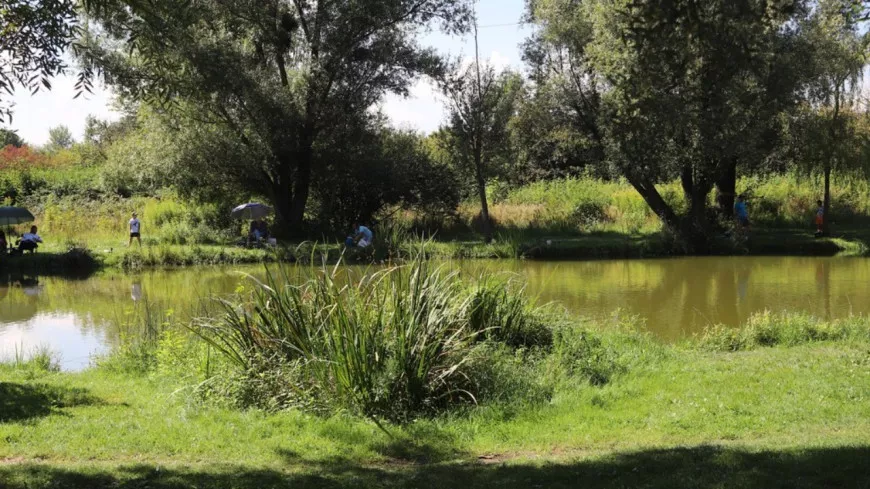 Près de Lyon : un homme retrouvé mort dans un étang privé