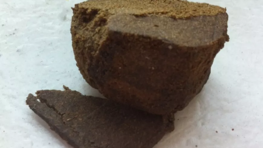 Lyon : des colis contenant 1,2 kg de cannabis découverts dans un bureau de poste