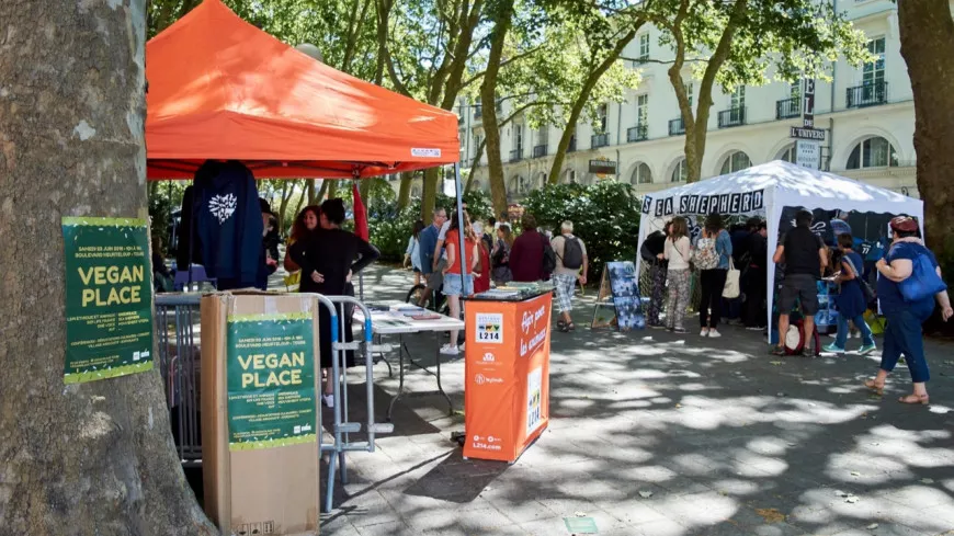 Lyon : la Vegan Place s’installe sur la place de la République