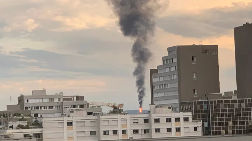 Feyzin : la torchère de nouveau utilisée par Total, un immense panache de fumée visible depuis Lyon