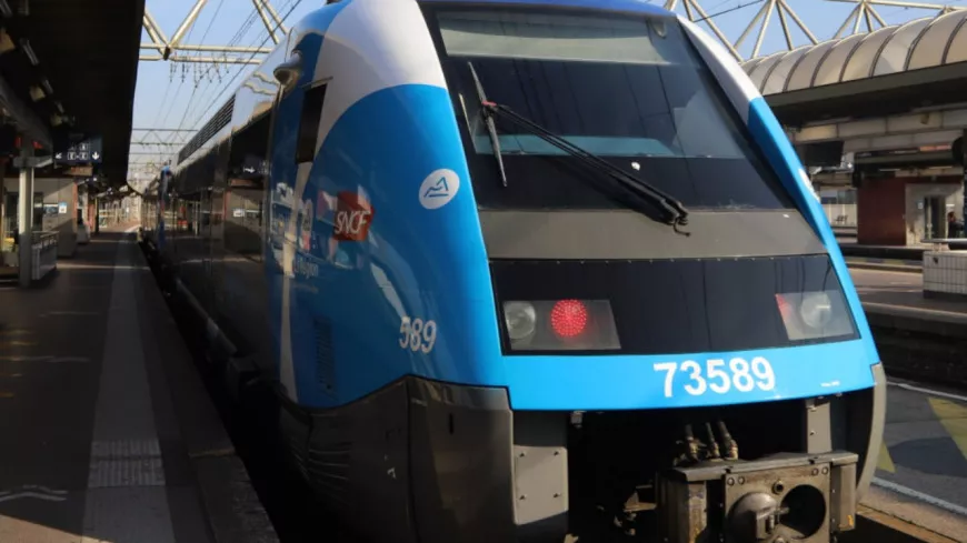 Dans la région : dans un train à destination de Lyon, il frappe une femme à la tenue trop légère à son goût