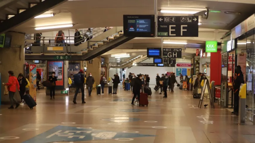 Lyon : un bagage volé finalement géolocalisé à Saint-Etienne