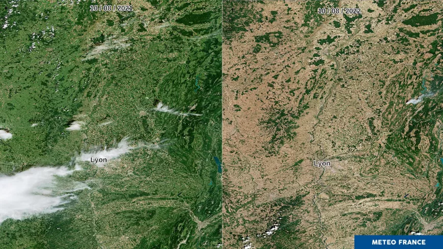 Avant/après : les images satellites de la sécheresse qui frappe Lyon cet été