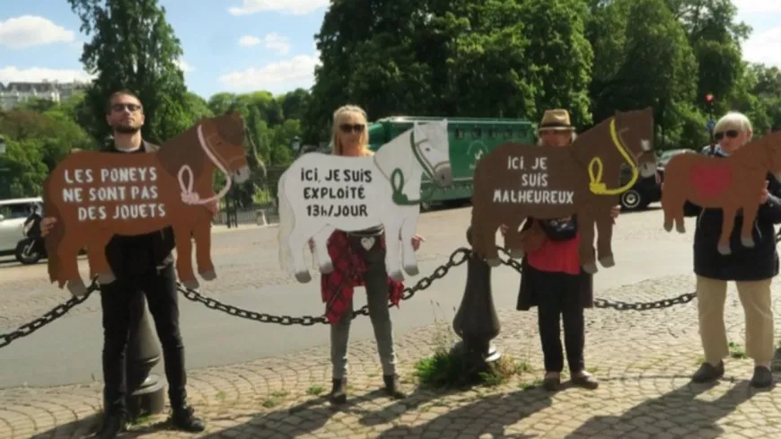Lyon : des associations de protection animale souhaitent l’arrêt des balades en poney au parc de la Tête d’Or