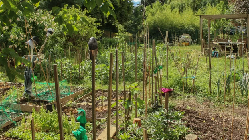 La Ville de Villeurbanne inaugure un nouveau jardin partagé