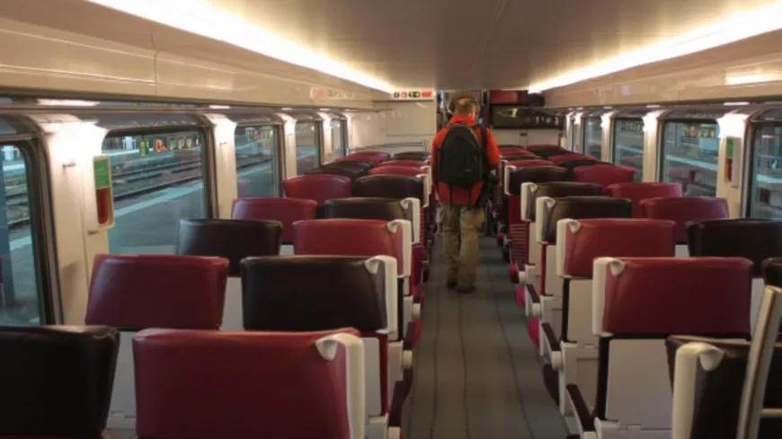 Lyon : surpris en train de voler une valise dans un TGV
