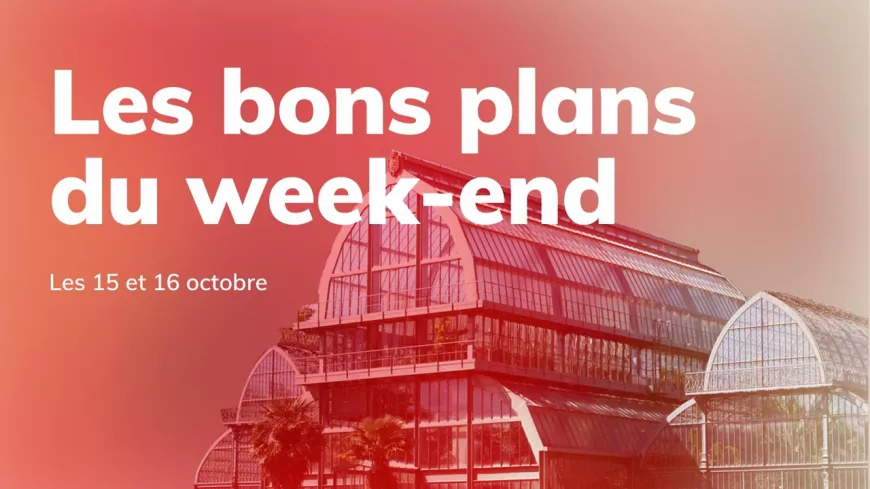 Le Mag des bons plans du week-end à Lyon (15 et 16 octobre)