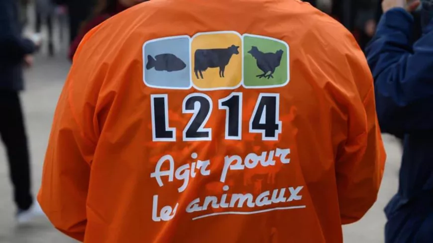 Lyon : une Vegan place ce samedi pour "découvrir un mode de vie respectueux des animaux et de la planète"