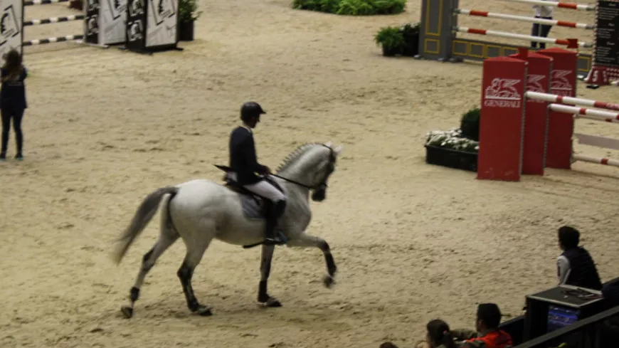 GL Events décroche le contrat de prestataire pour les épreuves d’équitation des JO de Paris 2024