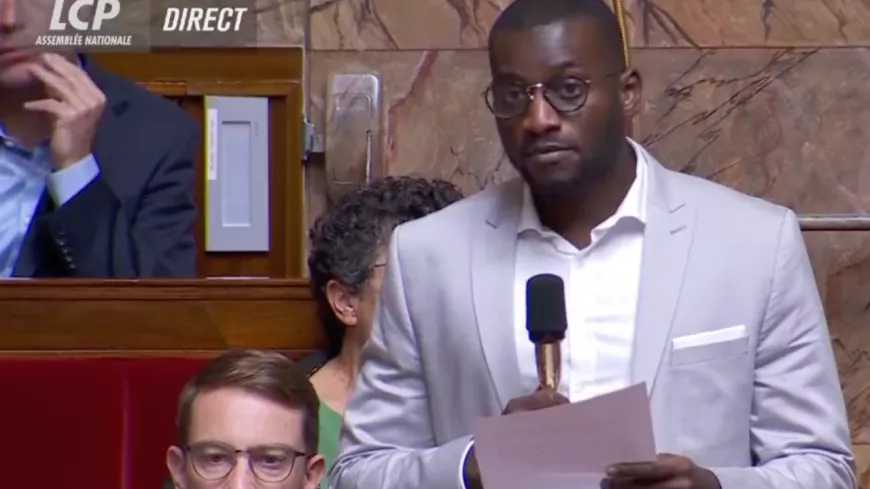 Propos racistes à l’Assemblée nationale : condamnation unanime des élus de Lyon