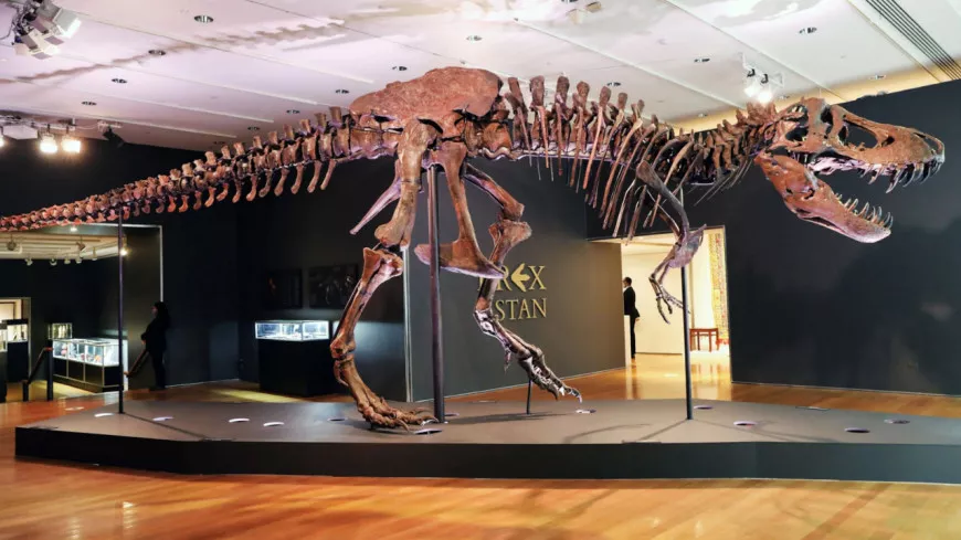 Un problème éthique ? Le Musée des Confluences de Lyon suspend l’arrivée d’un squelette de T-Rex