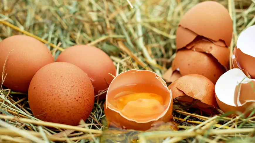 Lyon : des œufs rappelés au marché pour suspicion de salmonelle