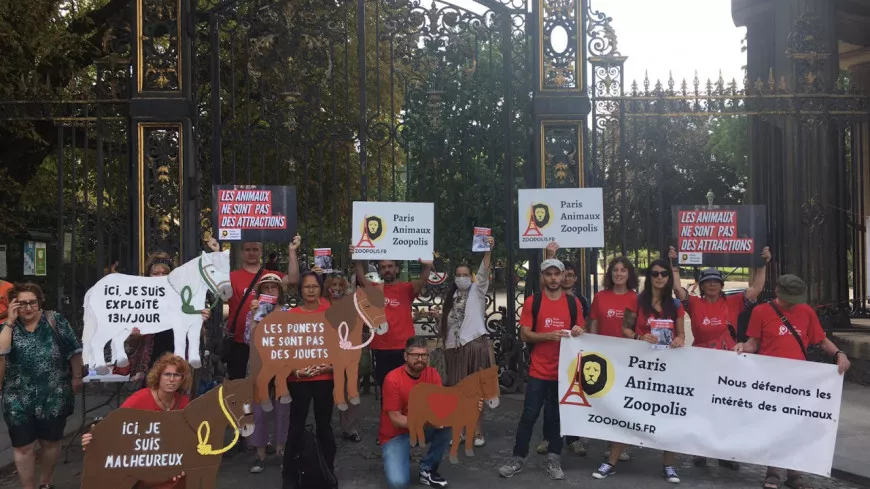 Balades au Parc de la Tête d'Or : une association dénonce les mauvaises conditions d'exploitation des poneys