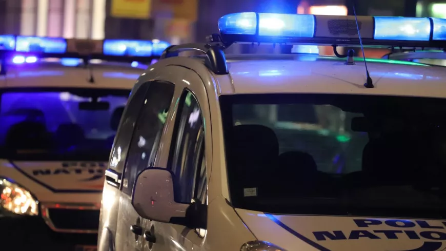 Agression de policiers municipaux à Lyon : dans la confusion, les agents frappent des témoins
