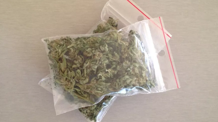 Près de Lyon : dénoncé par une source anonyme, il est interpellé avec deux kilos de cannabis