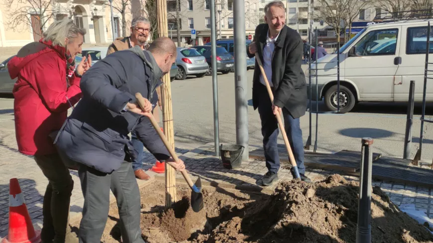 Environ 25 000 arbres plantés en quatre mois dans la Métropole de Lyon