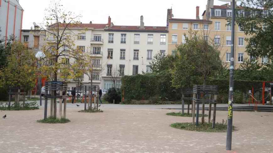 Lyon : encore de la drogue retrouvée cachée dans les espaces verts de la place Mazagran