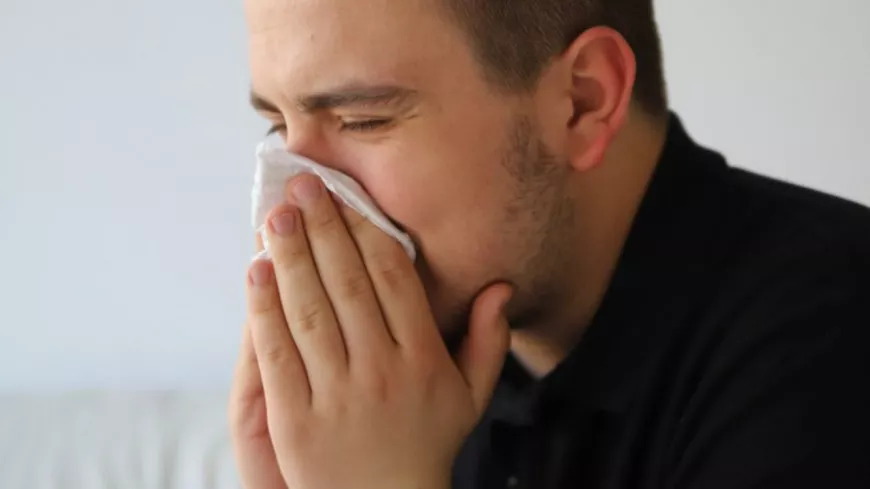 Lyon : risque d’allergie élevé face à la concentration des pollens de bouleau