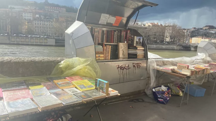 Lyon : une pétition pour "sauver le marché des bouquinistes"