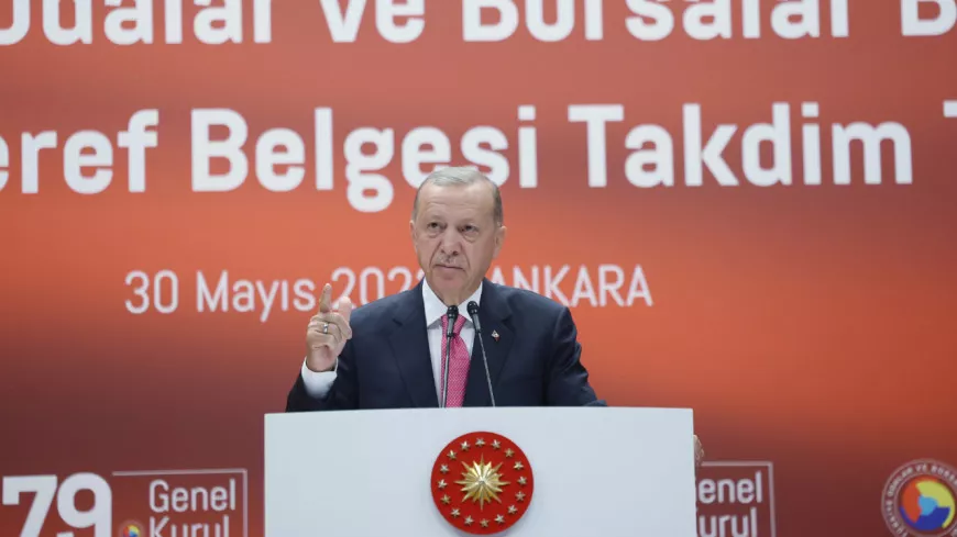 Elections turques : carton plein pour Erdogan à Lyon