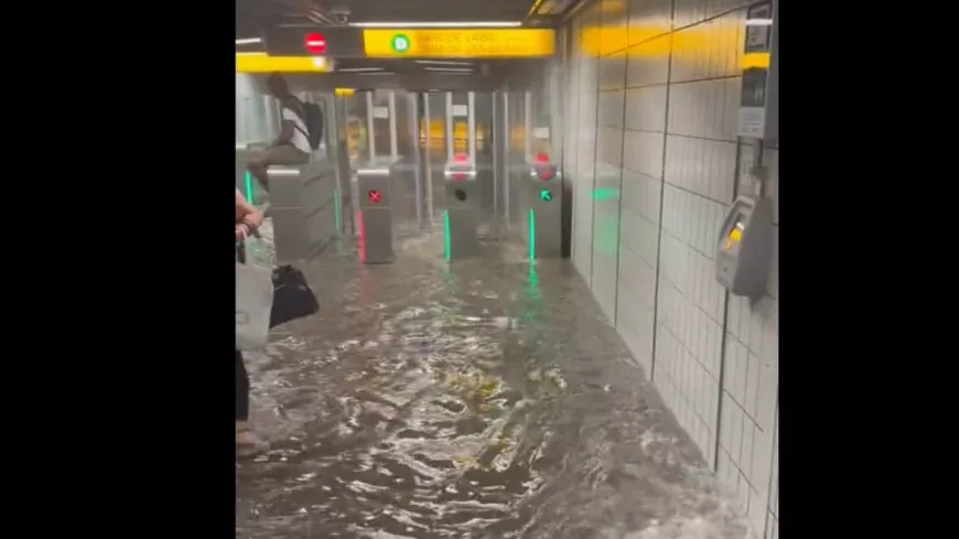 Inondations samedi soir dans l'agglomération : le maire de Francheville accuse la Métropole de Lyon