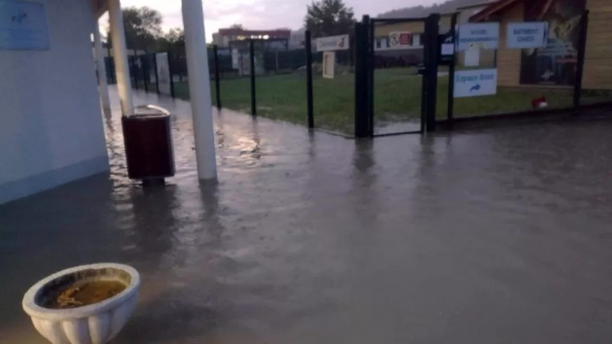 Près de Lyon : la SPA inondée après la pluie de ce week-end