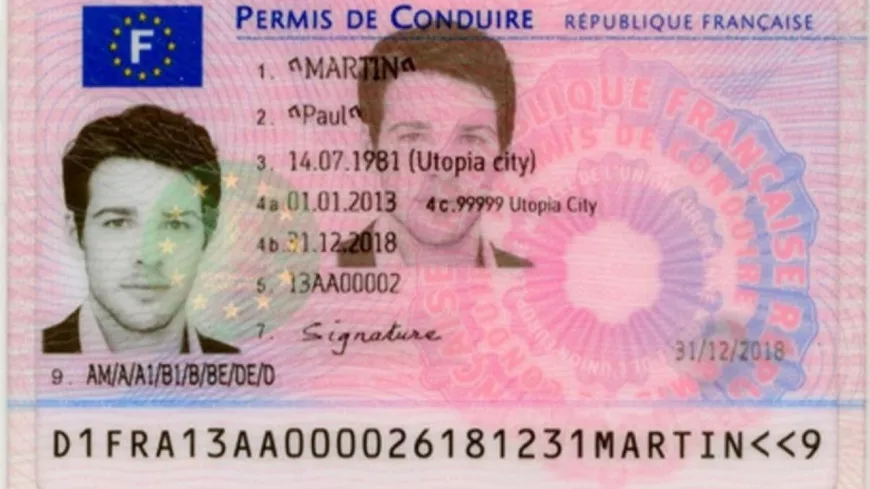 Près de Lyon : les gérants d'auto-écoles vendaient des faux permis de  conduire