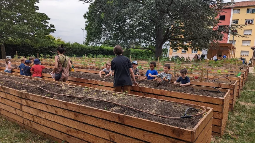 Lyon : des jardins participatifs pour recréer du lien social