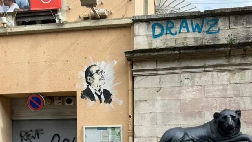 Lyon : les élus appelés à l'aide pour contrer Drawz, le "tagueur fou"