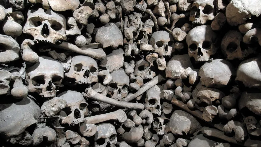 Lyon : un crâne humain volé dans une église lors des journées du patrimoine 
