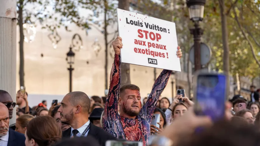 Grimé en serpent dépecé, l’influenceur lyonnais Jeremstar évacué par la police lors du défilé Louis Vuitton à Paris