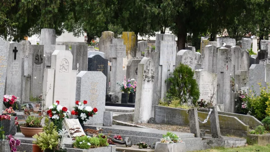 Lyon : la mairie débloque 8 millions d'euros pour des enterrements plus écolos et plus accessibles