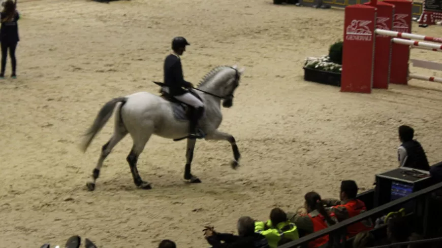 Equita Lyon : la venue d’un cavalier français soupçonné de violences fait polémique