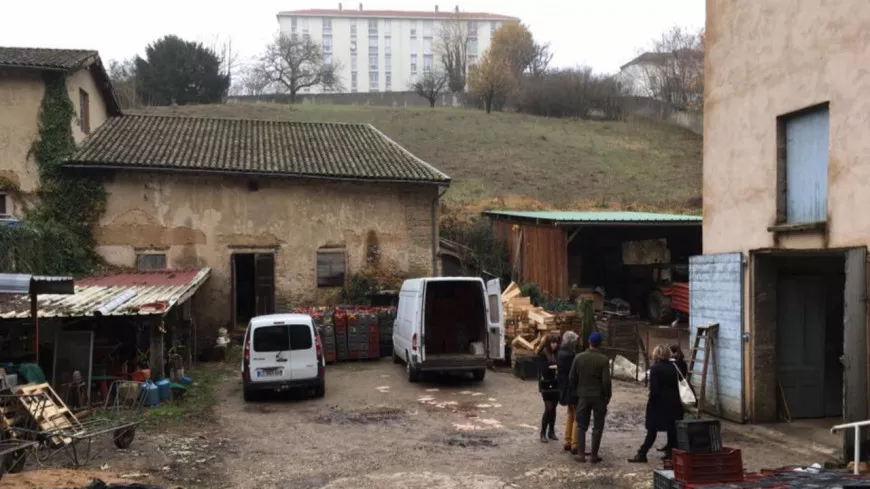 La dernière ferme de Lyon sauvée, trois jeunes repreneurs soutenus par les collectivités