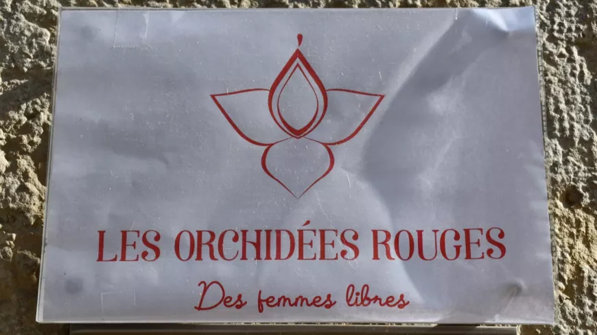 "Des subventions insuffisantes" : l'ONG des Orchidées Rouges va-t-elle fermer ses portes à Lyon ?
