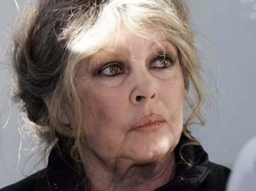 Rhône : Brigitte Bardot veut aider la petite vache qui ne voulait pas mourir