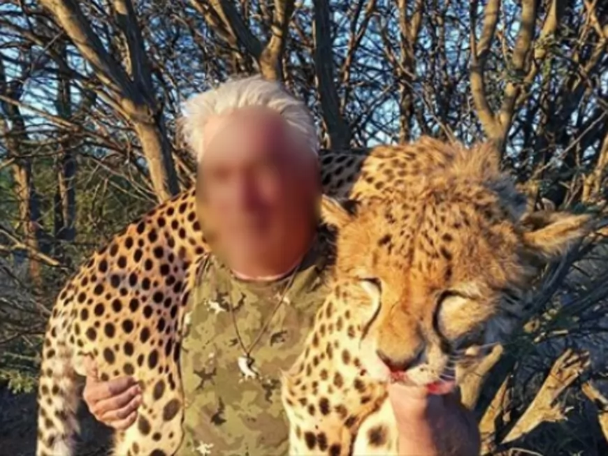 Safari-chasse : un nouveau scandale frappe une famille lyonnaise