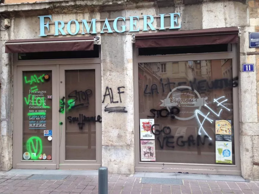 "Lait = viol" : des enseignes taguées dans le Vieux Lyon par des militants vegan