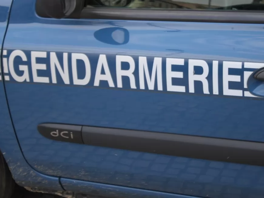 Une rumeur oblige les gendarmes à fouiller une école à Saint-Genis-Laval