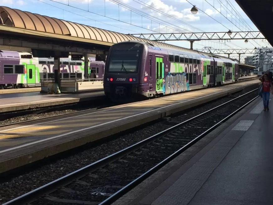 Un "RER Sud" bientôt sur les rails à destination de Lyon ?