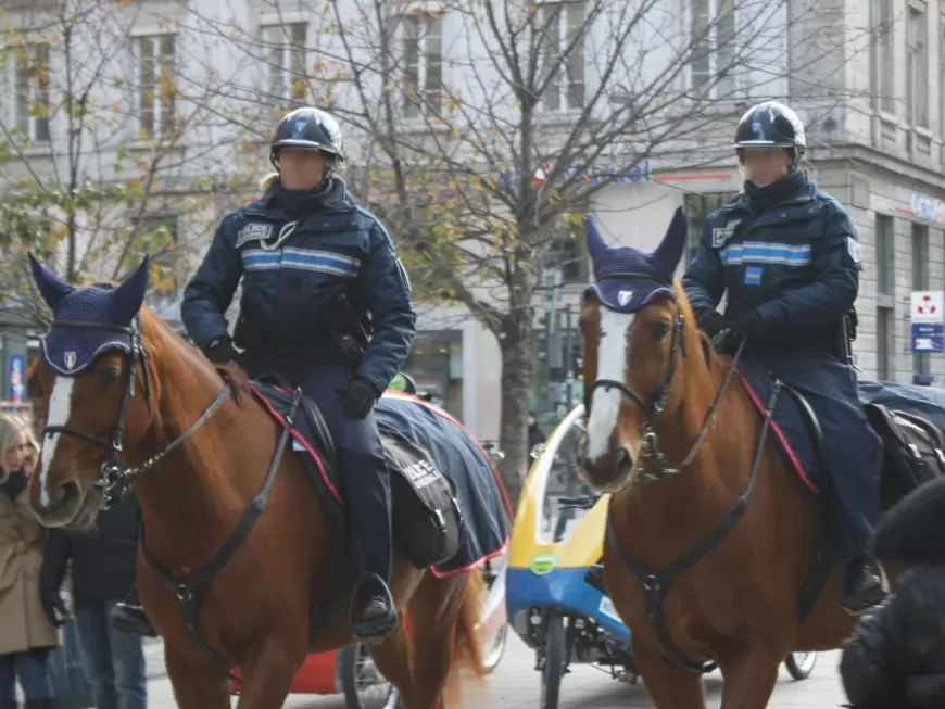 Trois nouveaux chevaux pour la police lyonnaise