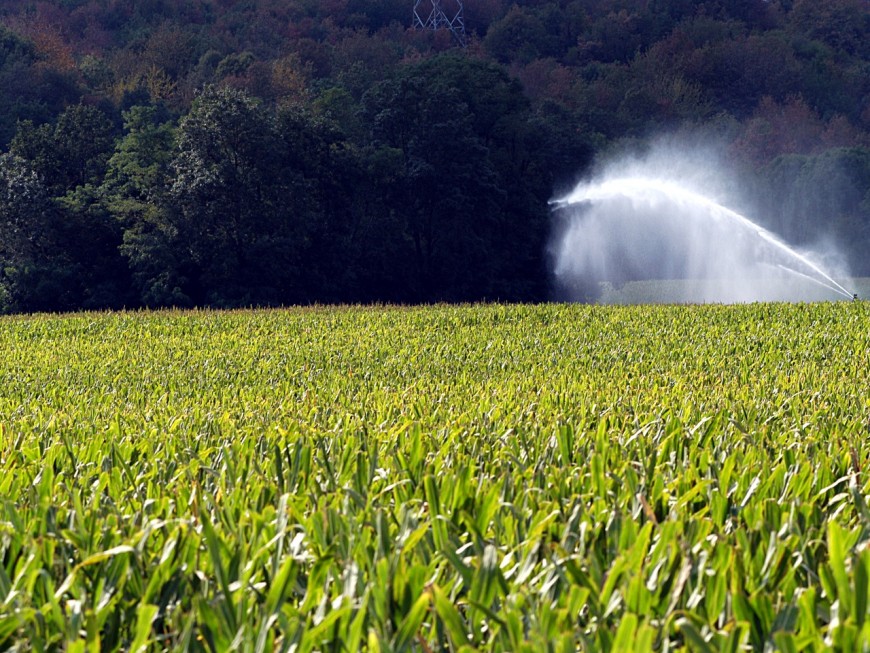 Lyon : la FRAPNA poursuit sa chasse aux pesticides
