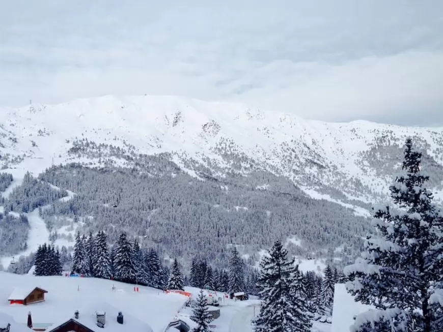 Un skieur de la région lyonnaise perd la vie après une chute
