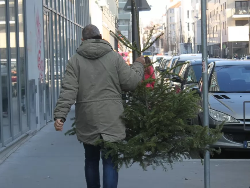 Noël à Lyon : où se débarrasser de son sapin après les fêtes ?